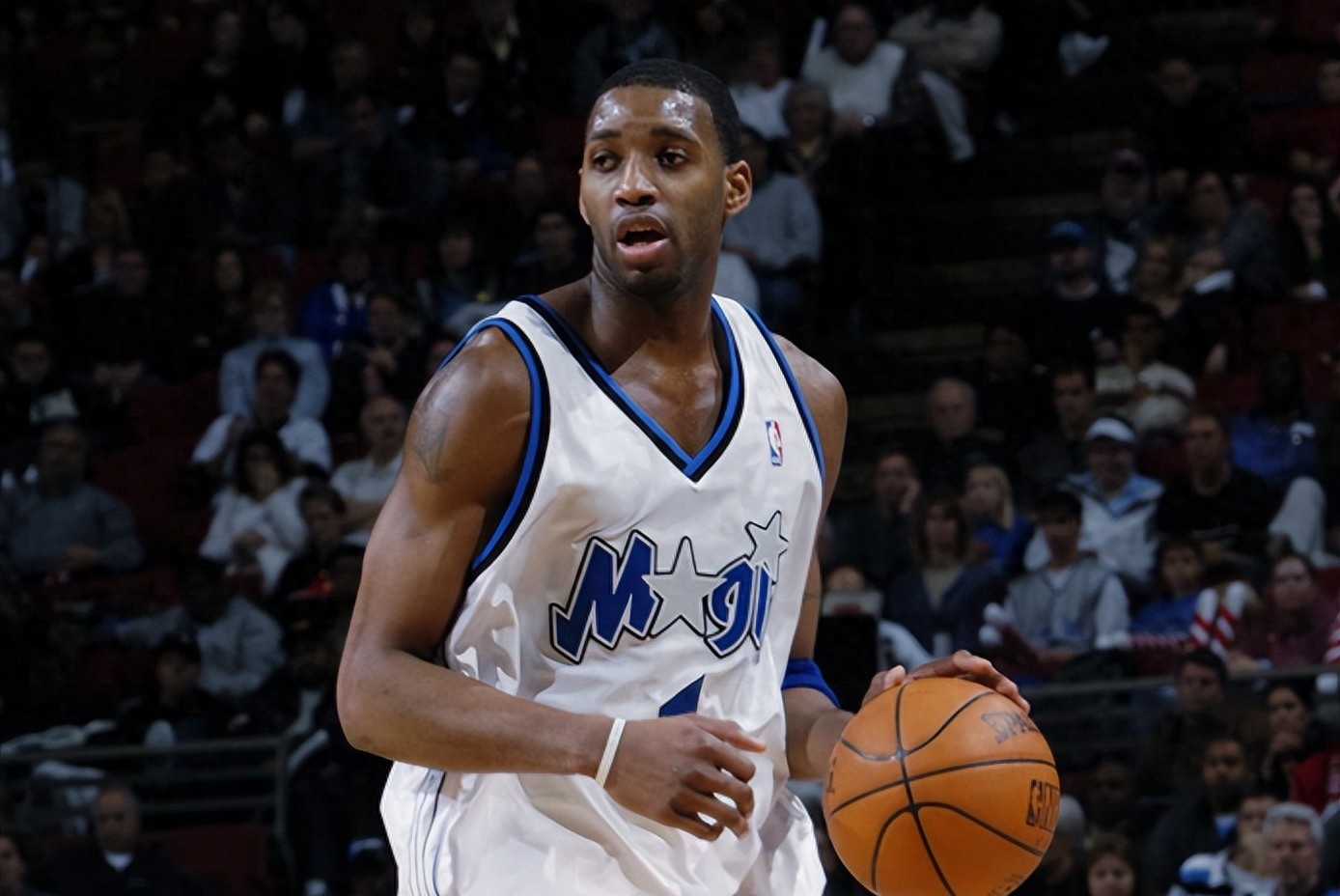 能在保护 能在保护